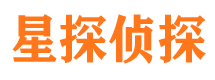 卫东市侦探公司